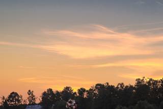 Tyler Hill Camp - 19