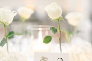 Hakuna Matata Weddings and Events - 8
