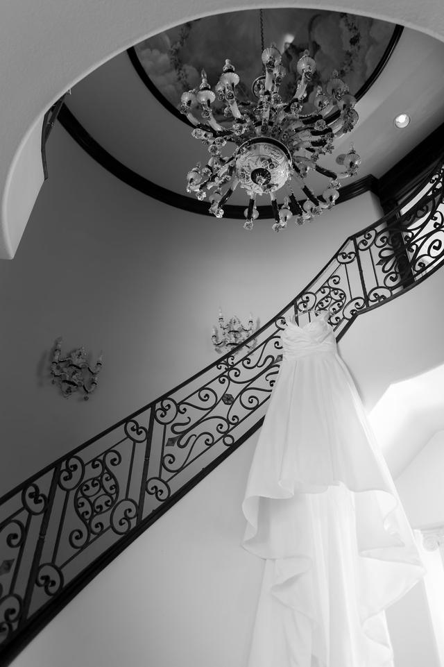 Martin V. Photography - 2