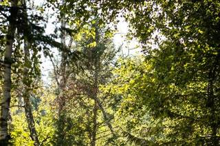 Jeannine Marie Photography - 43