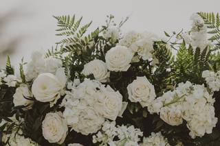 ABloom Studio One Twenty Three - 25