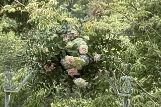 Planted Collective - 4