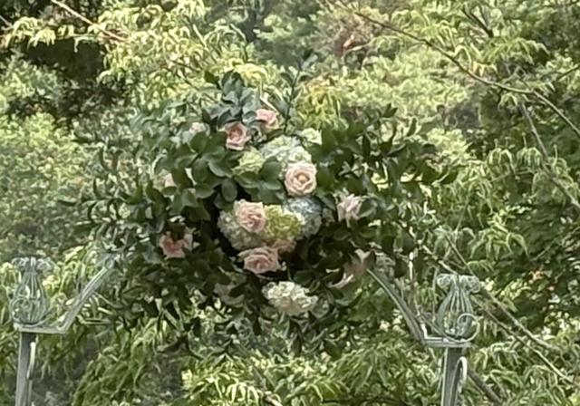 Planted Collective - 1