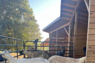Durrant Farms Estate - 15
