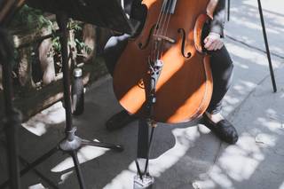 Ideal Ensembles - 16