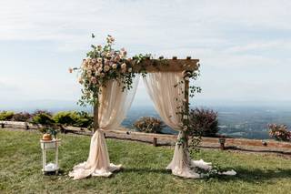 Golden Thistle Design - 6