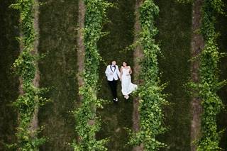 7 Vines Vineyard - 6