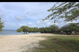 PICNIC ARUBA - 13