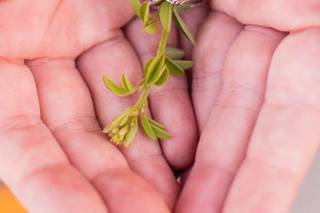 Caitlyn Weathers Photography - 20