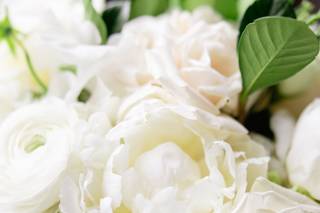 Flowers For Dreams - 5