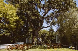 Alyssa Bray Events - 10