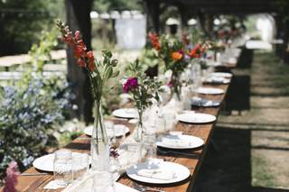 Zannah Farms - 10