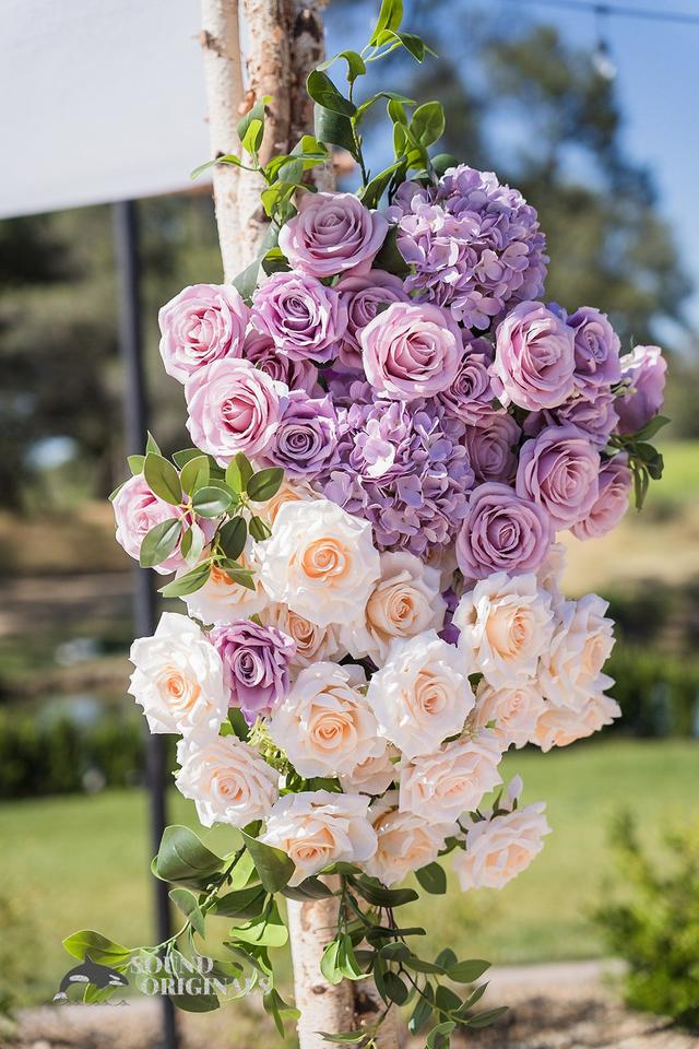 Miracle Chuppah - 2