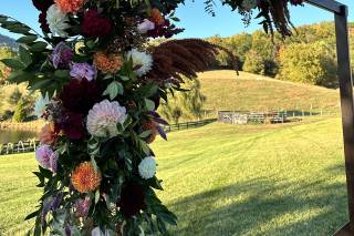 Cedarmere In The Blue Ridge - 38