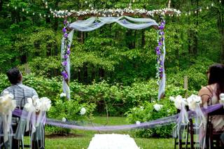 Ziba Photography - 39