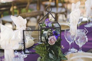 Amore Fiori Flowers and Gifts - 101
