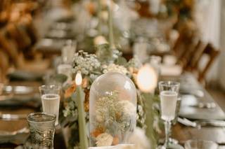 Paperbird Photography - 27