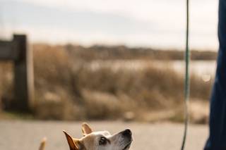 Trevor Holden Photography - 7