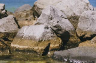Gerome Ogeris Photography - 7