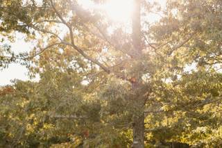 Agape Acres - 6