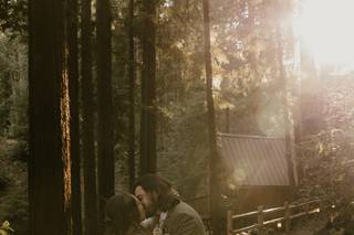 Vanessa Lain Photography - 5