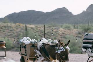 My Sweet Ass Beverage Burros - 7