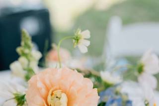VLV Events - 7