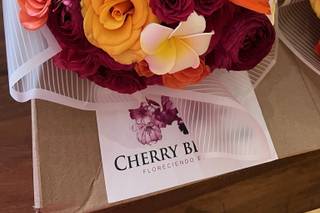 Cherry Blossom - 7