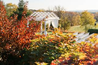 Brittany Thomas Photography - 14