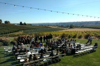 Fontaine Estates Winery - 7