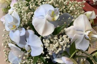 Kiku Floral - 52