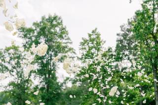 Ashley Paige Photography - 6