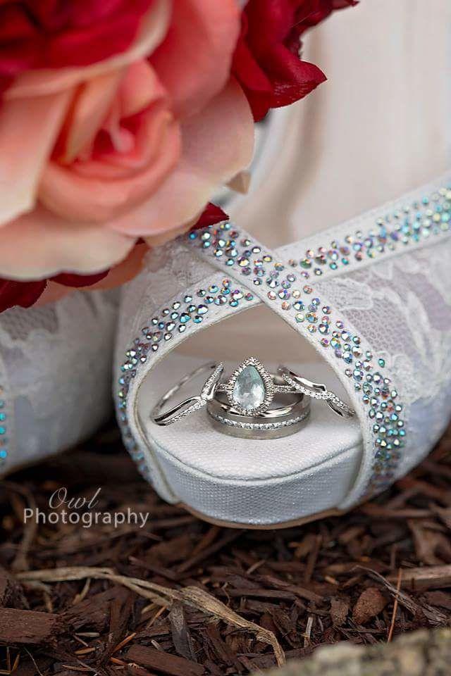 Owl Photography - 2