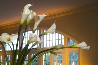 Chadwick Photography - 23