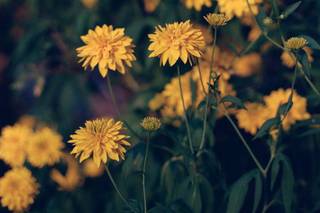Magic Arrow Photography - 7