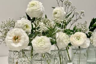 Orma Florals - 10
