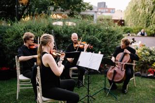 Parkwest Strings - 5