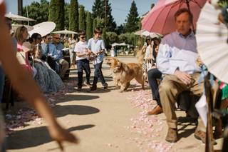 Under The Vine Events - 12
