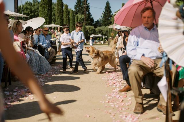 Under The Vine Events - 3