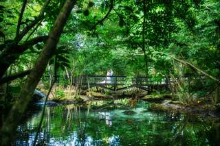 Photo Cine Art - 50
