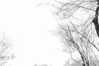 J.Starr Wedding Company - 25