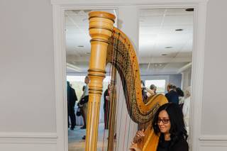 Harpist Lizary Rodriguez - 6