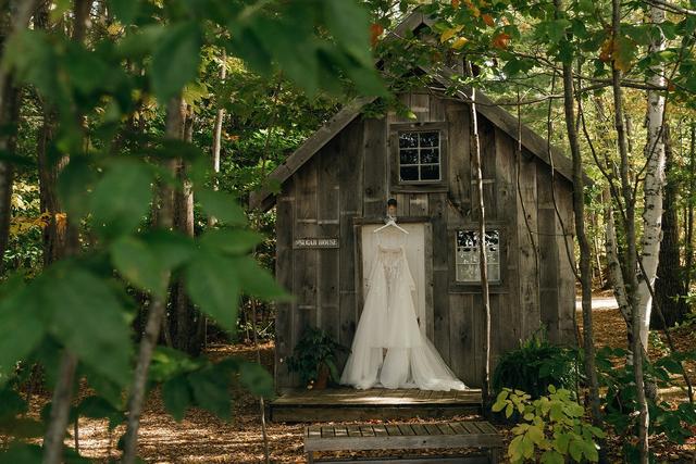 Timber Hill Farm - 1