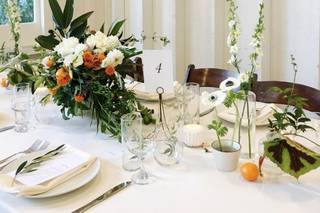 Hello Gem Events - 36