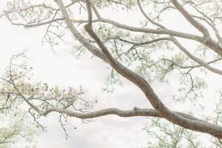 Sarah Lillie Designs - 24