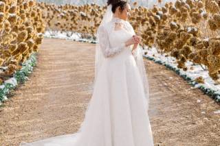 Molly Lichten Photography - 8
