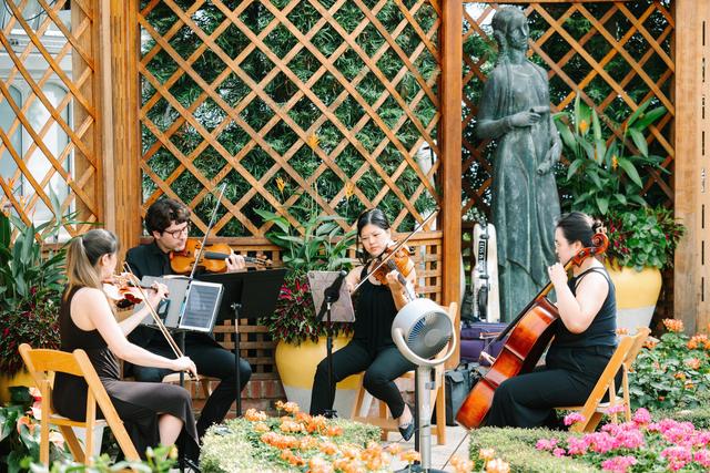 Drella String Quartet - 3
