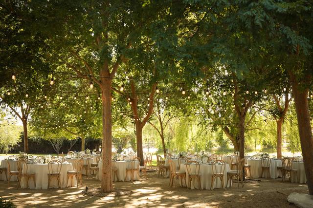 Cassia Karin Photography - 3