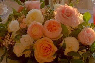 Fore River Floral - 8