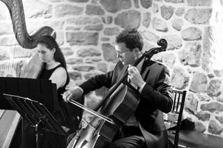 Meghan Davis, Harpist and Vocalist - 8